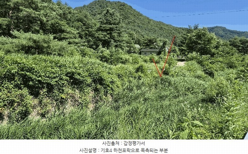 2025타경1449 강원특별자치도 홍천군 영귀미면 노천리 산207-2 임야 경매 이미지