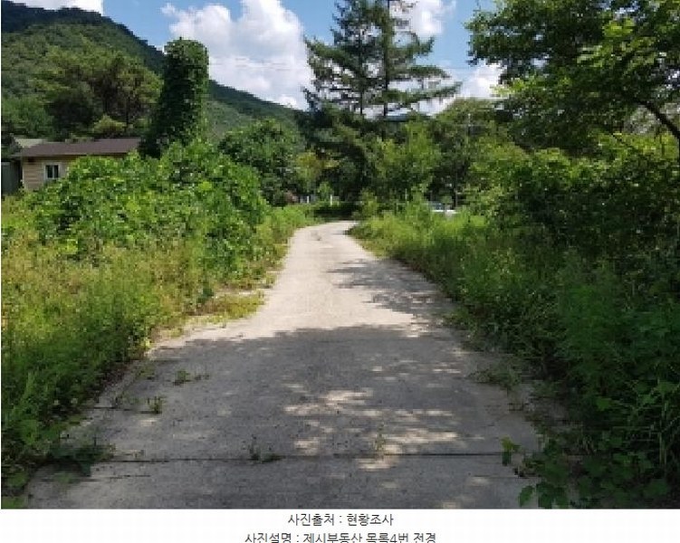 2025타경1449 강원특별자치도 홍천군 영귀미면 노천리 산207-2 임야 경매 이미지