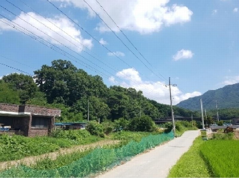 2025타경1494 강원특별자치도 춘천시 신동면 정족리 317 임야 경매 이미지