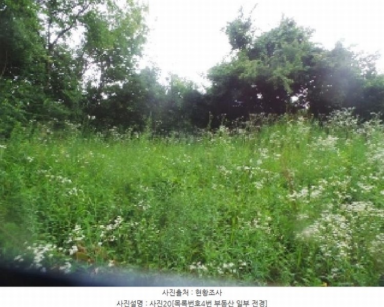 2025타경1562 강원특별자치도 양구군 해안면 오유리 592 농지 경매 이미지