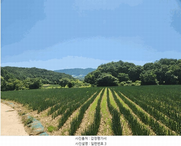 2025타경1562 강원특별자치도 양구군 해안면 오유리 592 농지 경매 이미지