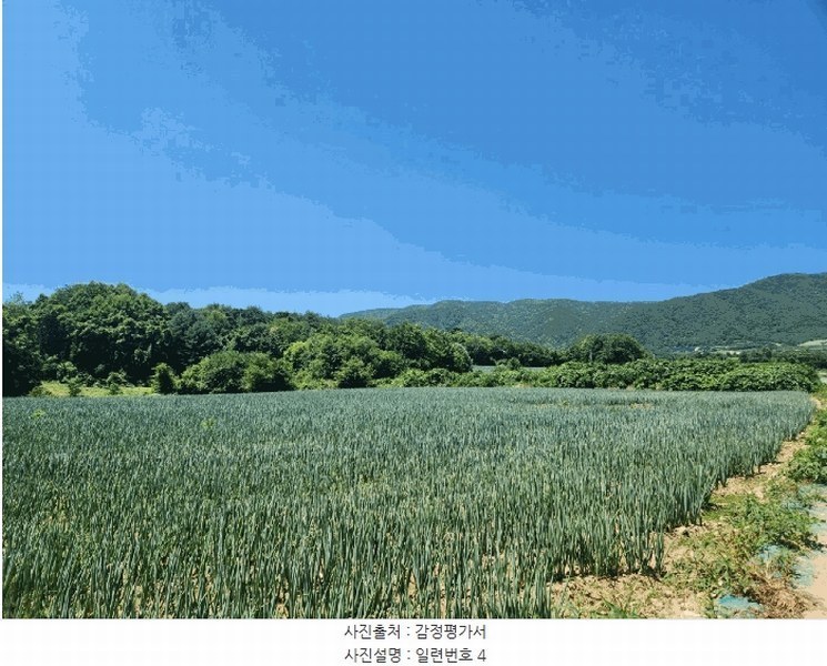 2025타경1562 강원특별자치도 양구군 해안면 오유리 592 농지 경매 이미지