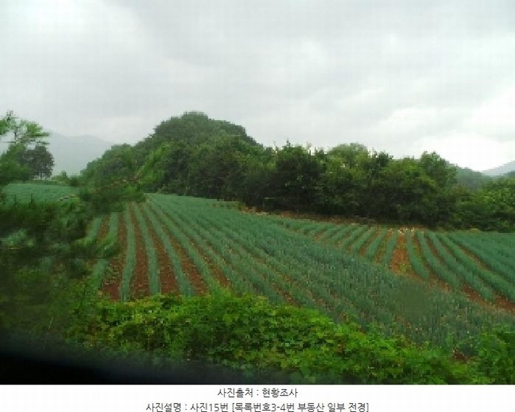 2025타경1562 강원특별자치도 양구군 해안면 오유리 592 농지 경매 이미지