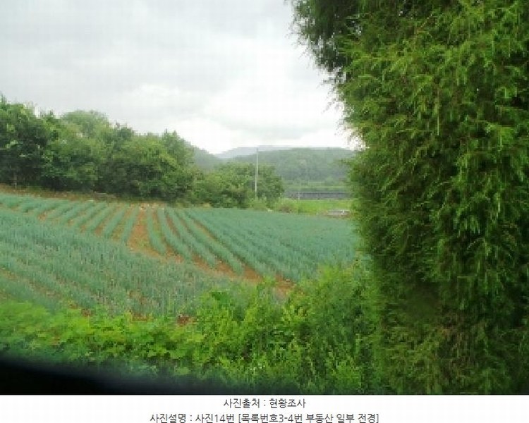 2025타경1562 강원특별자치도 양구군 해안면 오유리 592 농지 경매 이미지