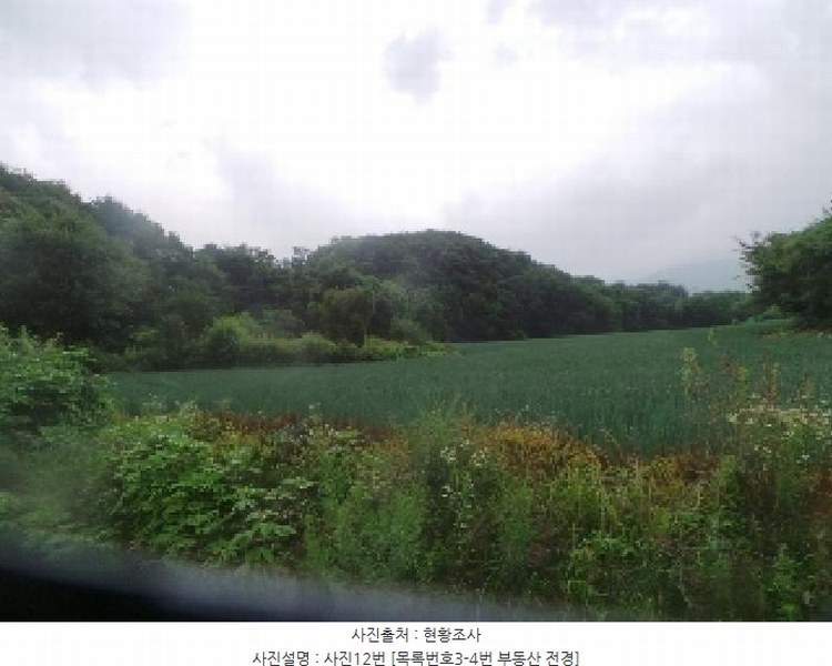 2025타경1562 강원특별자치도 양구군 해안면 오유리 592 농지 경매 이미지