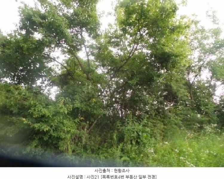 2025타경1562 강원특별자치도 양구군 해안면 오유리 592 농지 경매 이미지