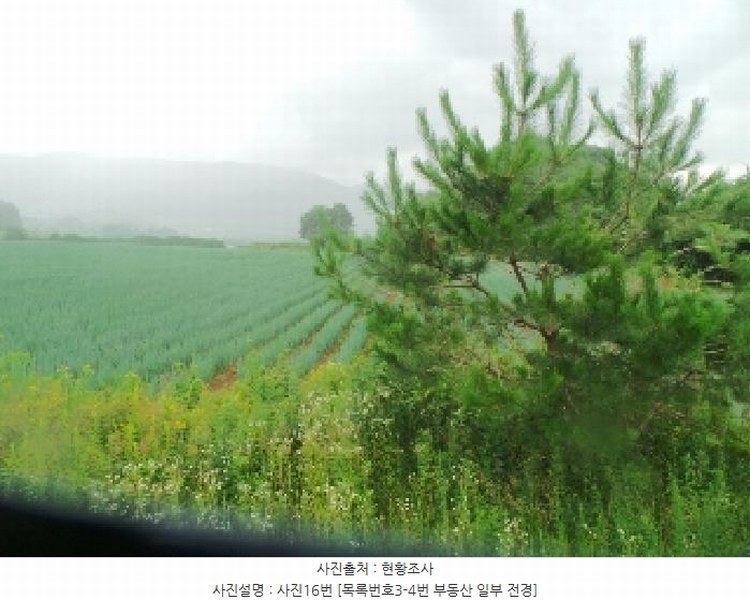 2025타경1562 강원특별자치도 양구군 해안면 오유리 592 농지 경매 이미지