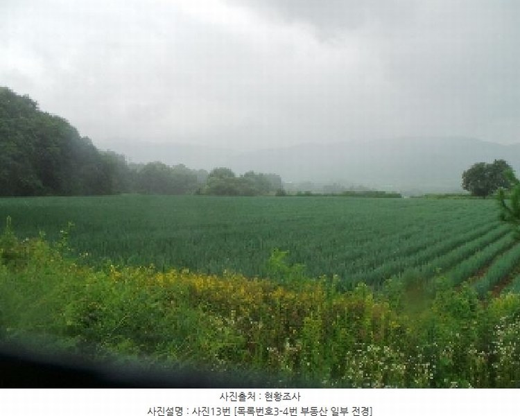 2025타경1562 강원특별자치도 양구군 해안면 오유리 592 농지 경매 이미지