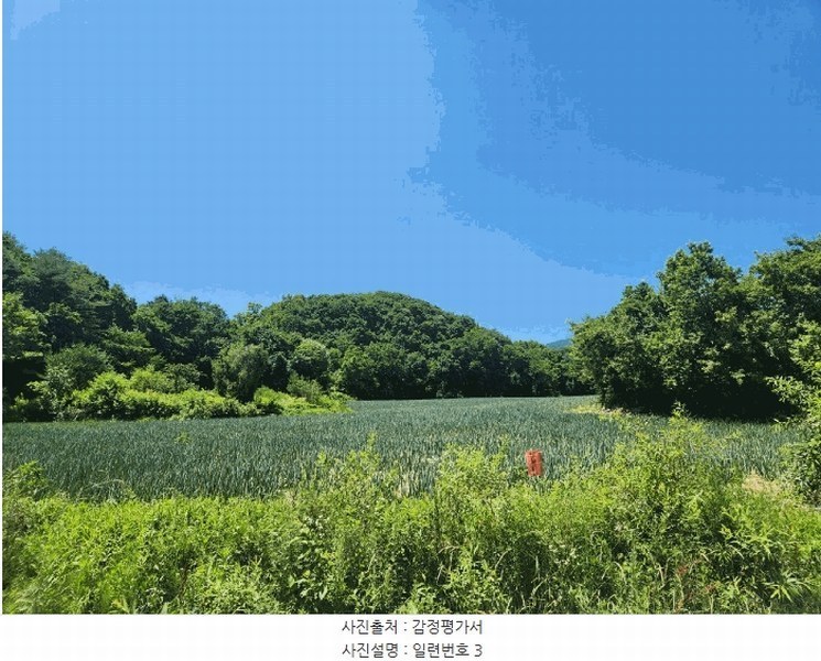 2025타경1562 강원특별자치도 양구군 해안면 오유리 592 농지 경매 이미지