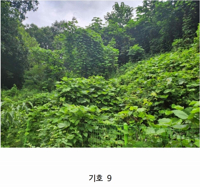 2025타경1654 충청북도 음성군 감곡면 문촌리 산25-1 임야 경매 이미지