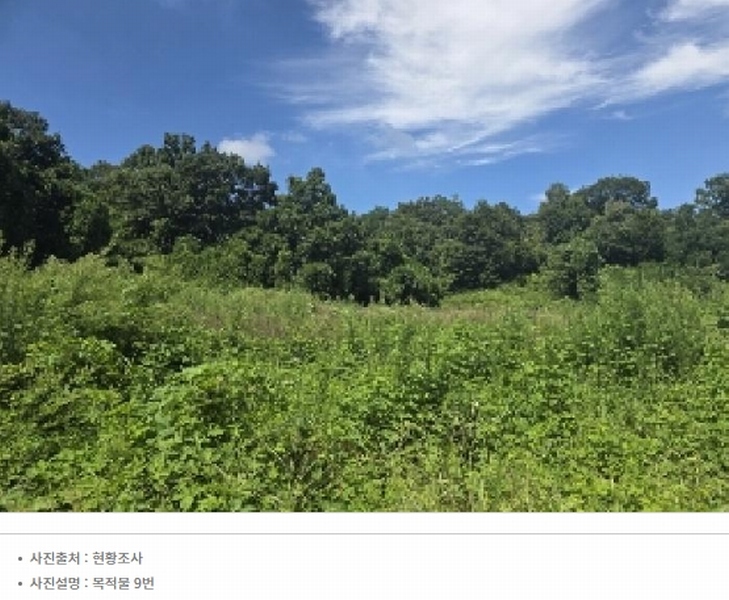 2025타경1654 충청북도 음성군 감곡면 문촌리 산25-1 임야 경매 이미지