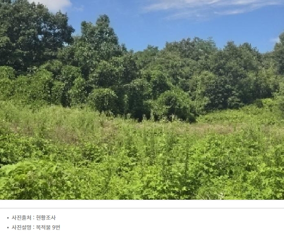 2025타경1654 충청북도 음성군 감곡면 문촌리 산25-1 임야 경매 이미지