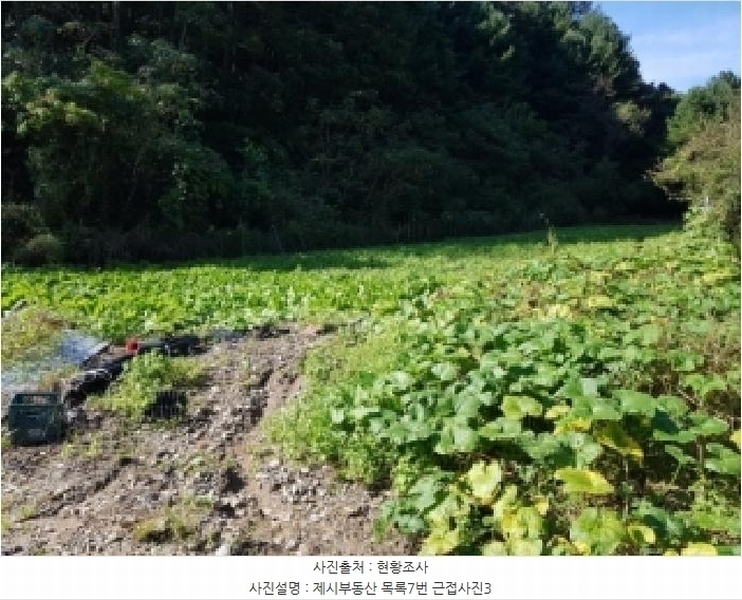 2025타경1692 강원특별자치도 홍천군 화촌면 야시대리 691 농지 경매 이미지