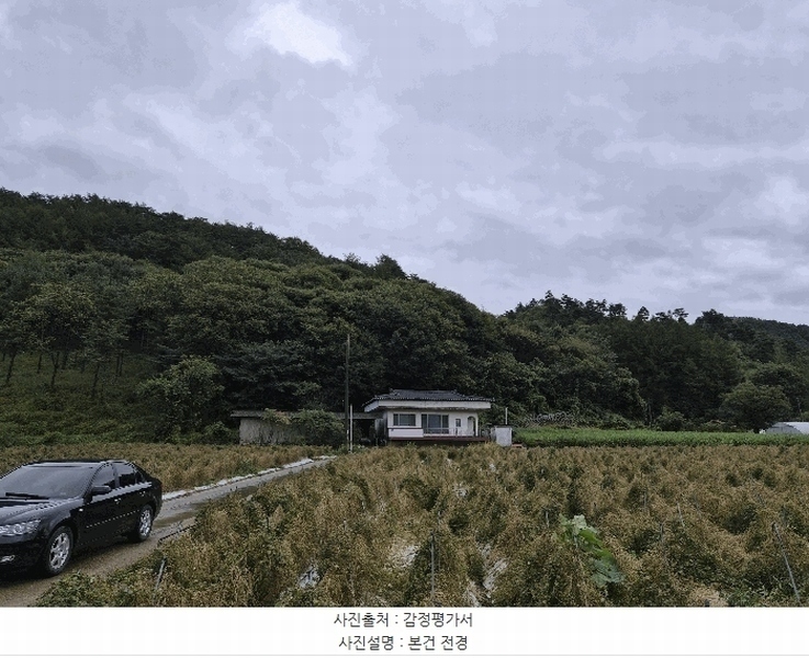 2025타경1890 강원특별자치도 홍천군 두촌면 철정리 산56-2 임야 경매 이미지