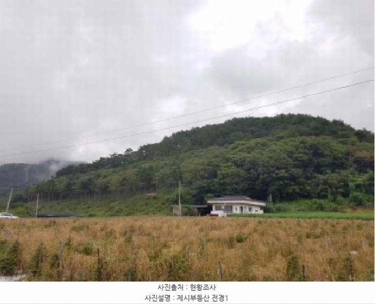 2025타경1890 강원특별자치도 홍천군 두촌면 철정리 산56-2 임야 경매 이미지