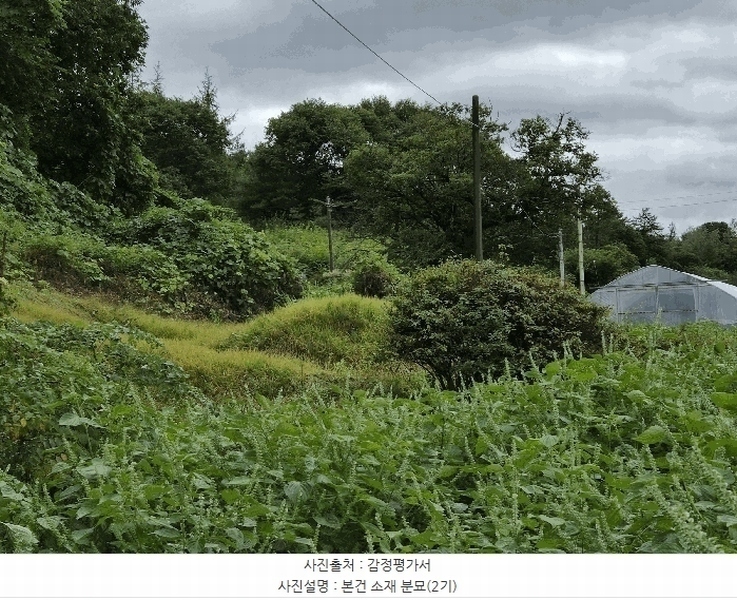 2025타경1890 강원특별자치도 홍천군 두촌면 철정리 산56-2 임야 경매 이미지