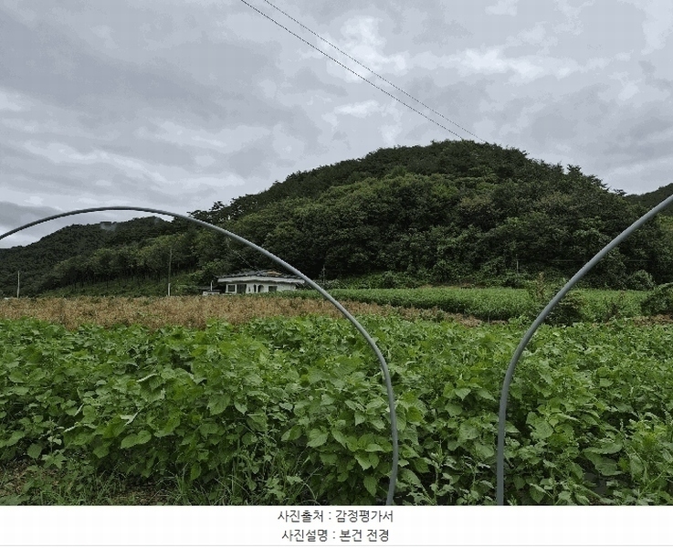 2025타경1890 강원특별자치도 홍천군 두촌면 철정리 산56-2 임야 경매 이미지