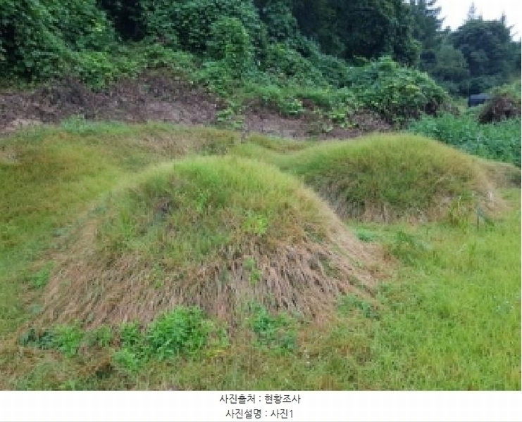 2025타경1890 강원특별자치도 홍천군 두촌면 철정리 산56-2 임야 경매 이미지