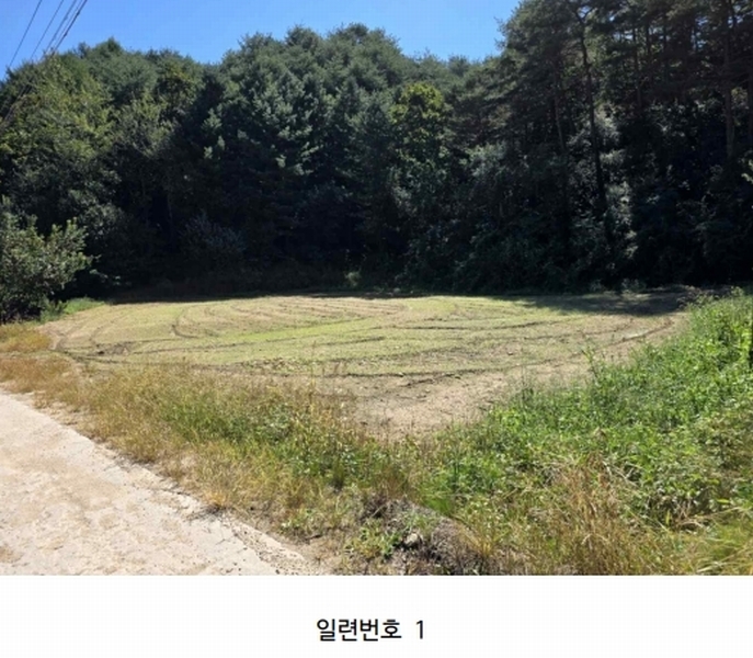 2025타경2121 강원특별자치도 양구군 동면 덕곡리 469 농가관련시설 경매 이미지