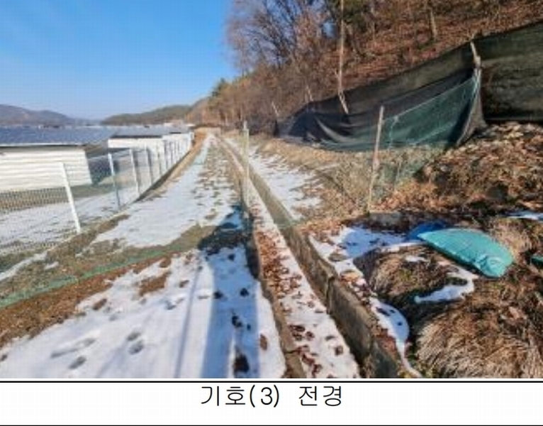 2025타경50267 강원특별자치도 홍천군 홍천읍 와동리 산113 임야 경매 이미지