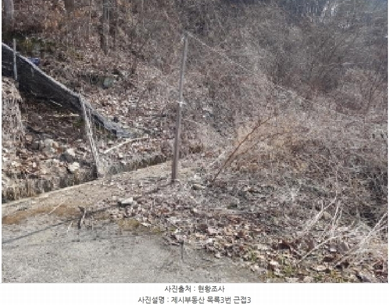 2025타경50267 강원특별자치도 홍천군 홍천읍 와동리 산113 임야 경매 이미지