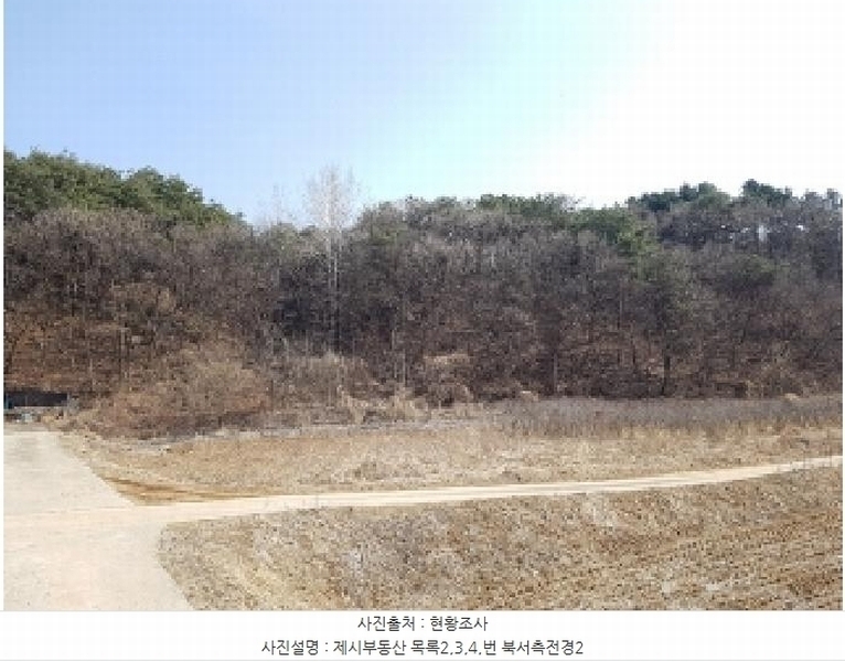 2025타경50267 강원특별자치도 홍천군 홍천읍 와동리 산113 임야 경매 이미지