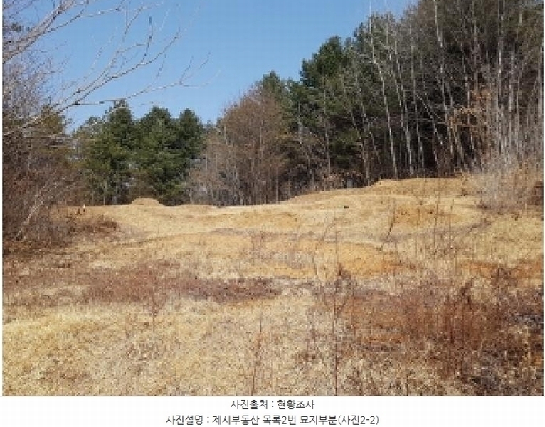 2025타경50267 강원특별자치도 홍천군 홍천읍 와동리 산113 임야 경매 이미지