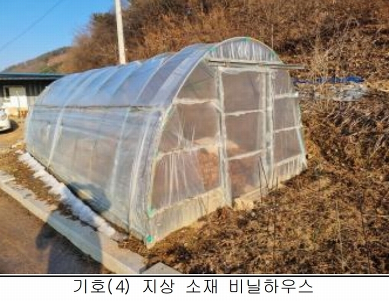 2025타경50267 강원특별자치도 홍천군 홍천읍 와동리 산113 임야 경매 이미지