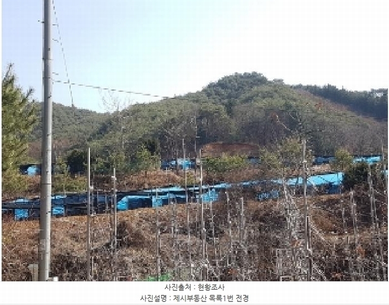 2025타경50267 강원특별자치도 홍천군 홍천읍 와동리 산113 임야 경매 이미지