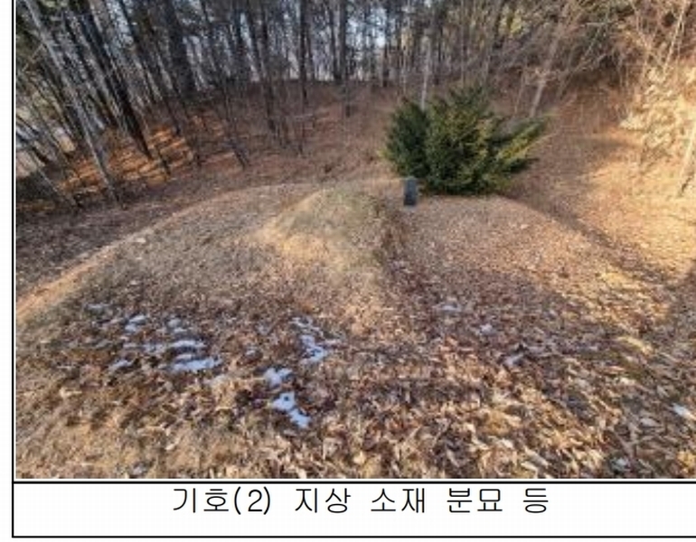 2025타경50267 강원특별자치도 홍천군 홍천읍 와동리 산113 임야 경매 이미지