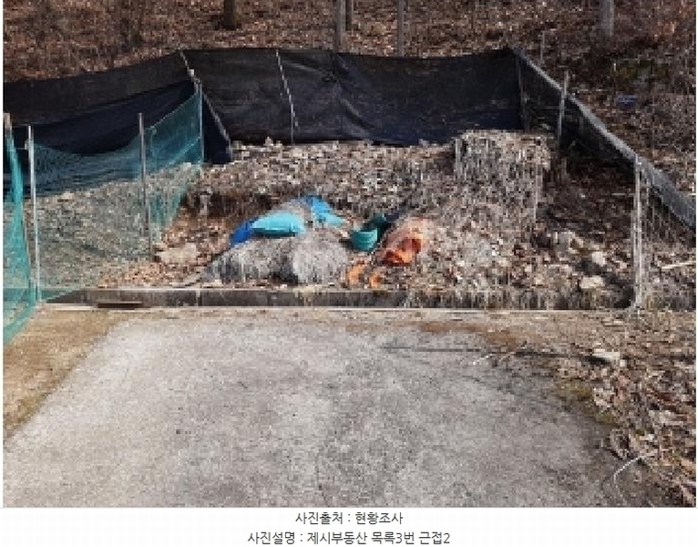 2025타경50267 강원특별자치도 홍천군 홍천읍 와동리 산113 임야 경매 이미지