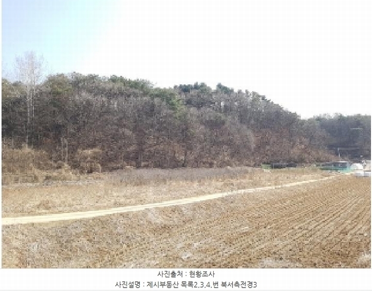2025타경50267 강원특별자치도 홍천군 홍천읍 와동리 산113 임야 경매 이미지