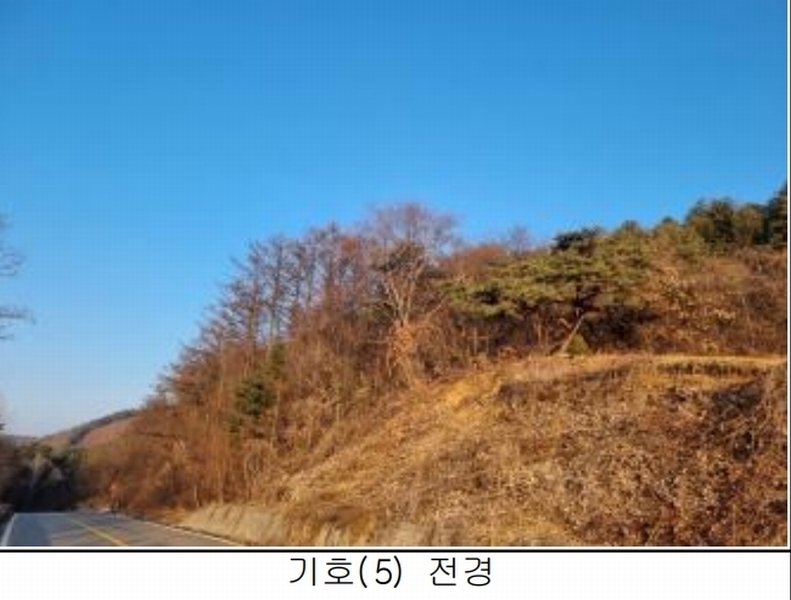 2025타경50267 강원특별자치도 홍천군 홍천읍 와동리 산113 임야 경매 이미지