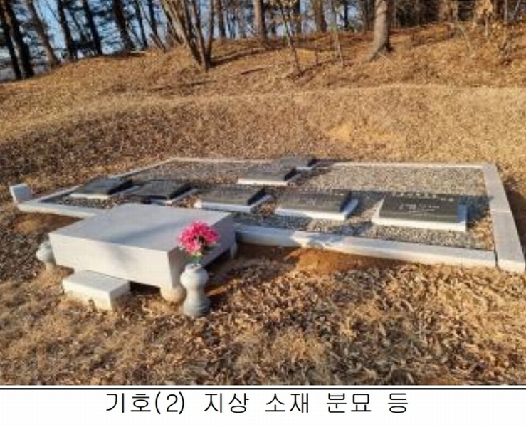 2025타경50267 강원특별자치도 홍천군 홍천읍 와동리 산113 임야 경매 이미지