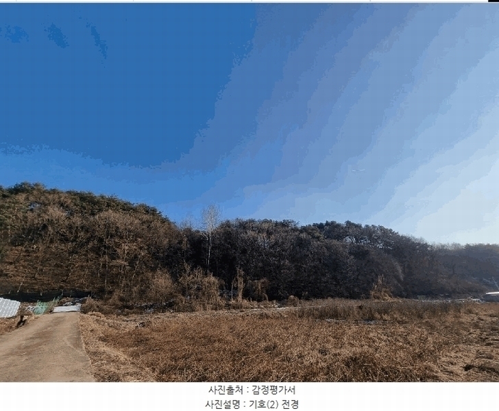 2025타경50267 강원특별자치도 홍천군 홍천읍 와동리 산113 임야 경매 이미지