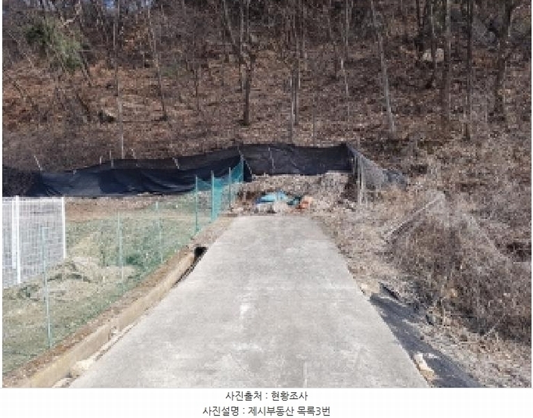 2025타경50267 강원특별자치도 홍천군 홍천읍 와동리 산113 임야 경매 이미지