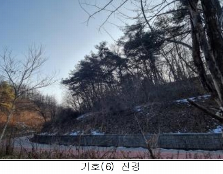 2025타경50267 강원특별자치도 홍천군 홍천읍 와동리 산113 임야 경매 이미지
