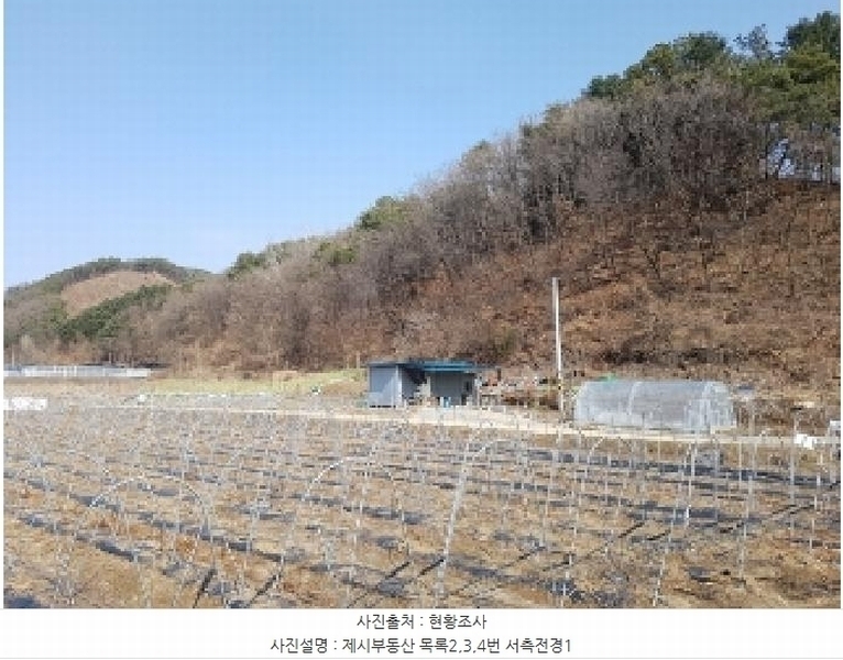 2025타경50267 강원특별자치도 홍천군 홍천읍 와동리 산113 임야 경매 이미지