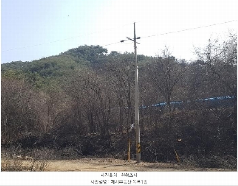 2025타경50267 강원특별자치도 홍천군 홍천읍 와동리 산113 임야 경매 이미지