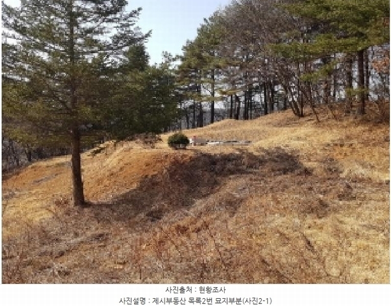 2025타경50267 강원특별자치도 홍천군 홍천읍 와동리 산113 임야 경매 이미지