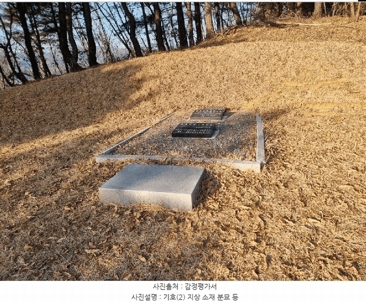 2025타경50267 강원특별자치도 홍천군 홍천읍 와동리 산113 임야 경매 이미지