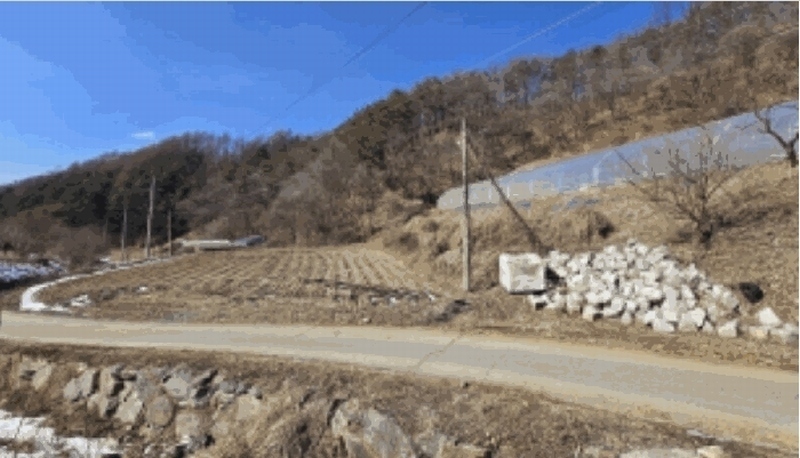 2025타경50505 강원특별자치도 춘천시 동산면 조양리 산7-17 임야 경매 이미지