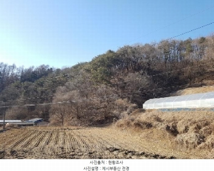 2025타경50505 강원특별자치도 춘천시 동산면 조양리 산7-17 임야 경매 이미지