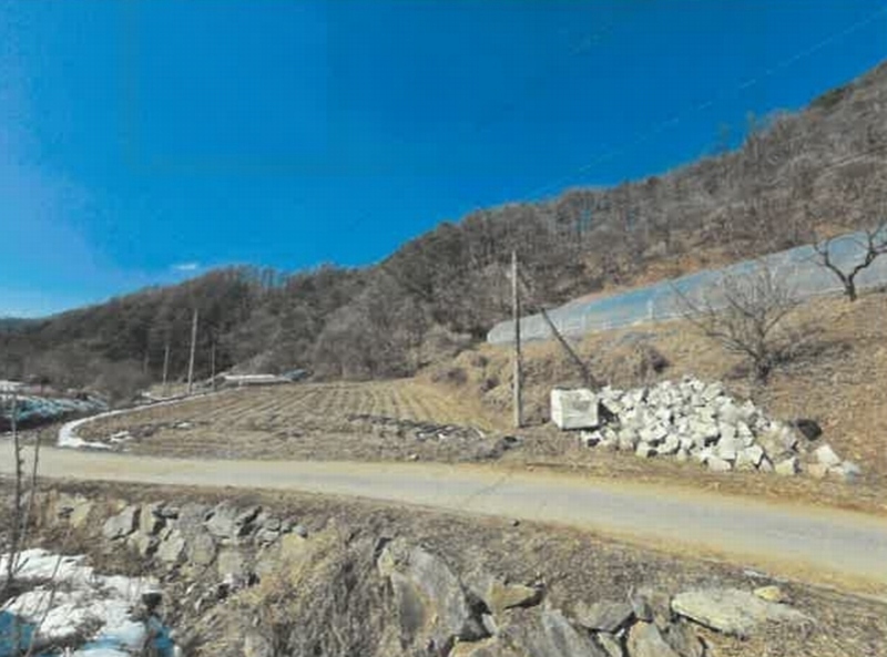 2025타경50505 강원특별자치도 춘천시 동산면 조양리 산7-17 임야 경매 이미지