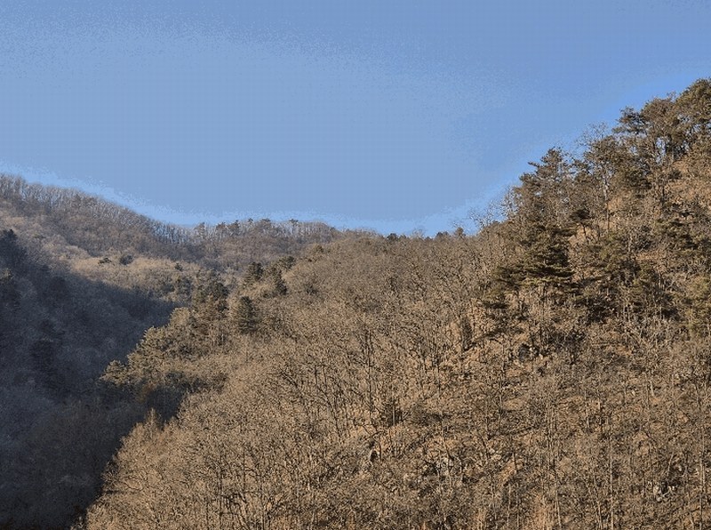 2025타경50529 강원특별자치도 춘천시 남산면 산수리 산165-4 임야 경매 이미지