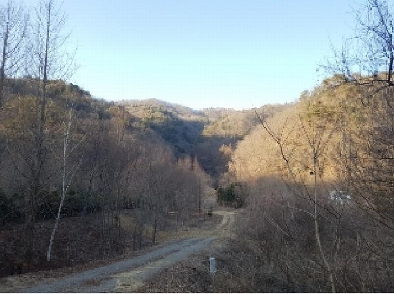 2025타경50529 강원특별자치도 춘천시 남산면 산수리 산165-4 임야 경매 이미지