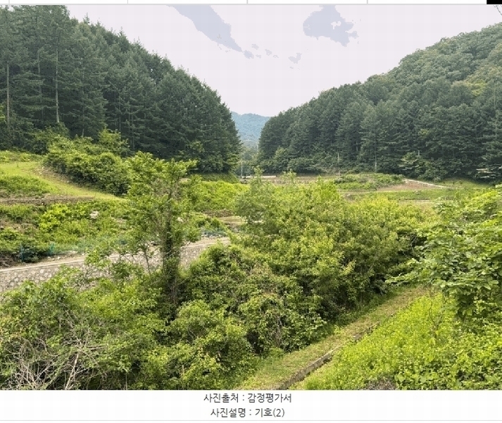 2025타경50699 강원특별자치도 홍천군 홍천읍 장전평리 683-3 농지 경매 이미지