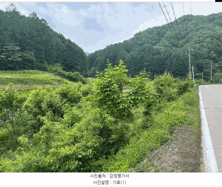 2025타경50699 강원특별자치도 홍천군 홍천읍 장전평리 683-3 농지 경매 이미지