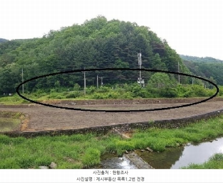 2025타경50699 강원특별자치도 홍천군 홍천읍 장전평리 683-3 농지 경매 이미지