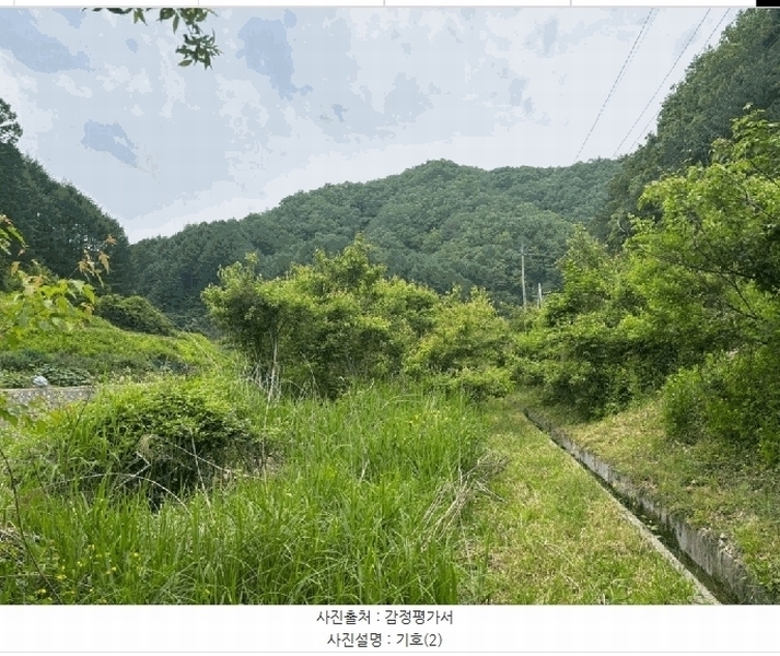 2025타경50699 강원특별자치도 홍천군 홍천읍 장전평리 683-3 농지 경매 이미지
